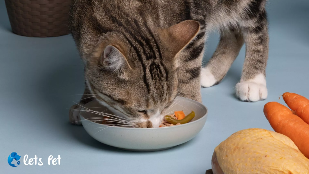 letspet-pet-health-and-nutrition-organic-diets-for-cats-fad-or-future