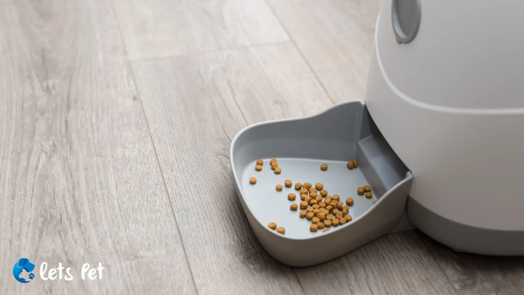 letspet-pet-products-and-services-the-best-pet-tech-gadgets-of-the-year