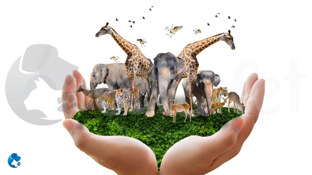 letspet-wildlife-conservation-india-endangered-species-how-you-can-help