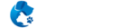 Blog | letspet.in
